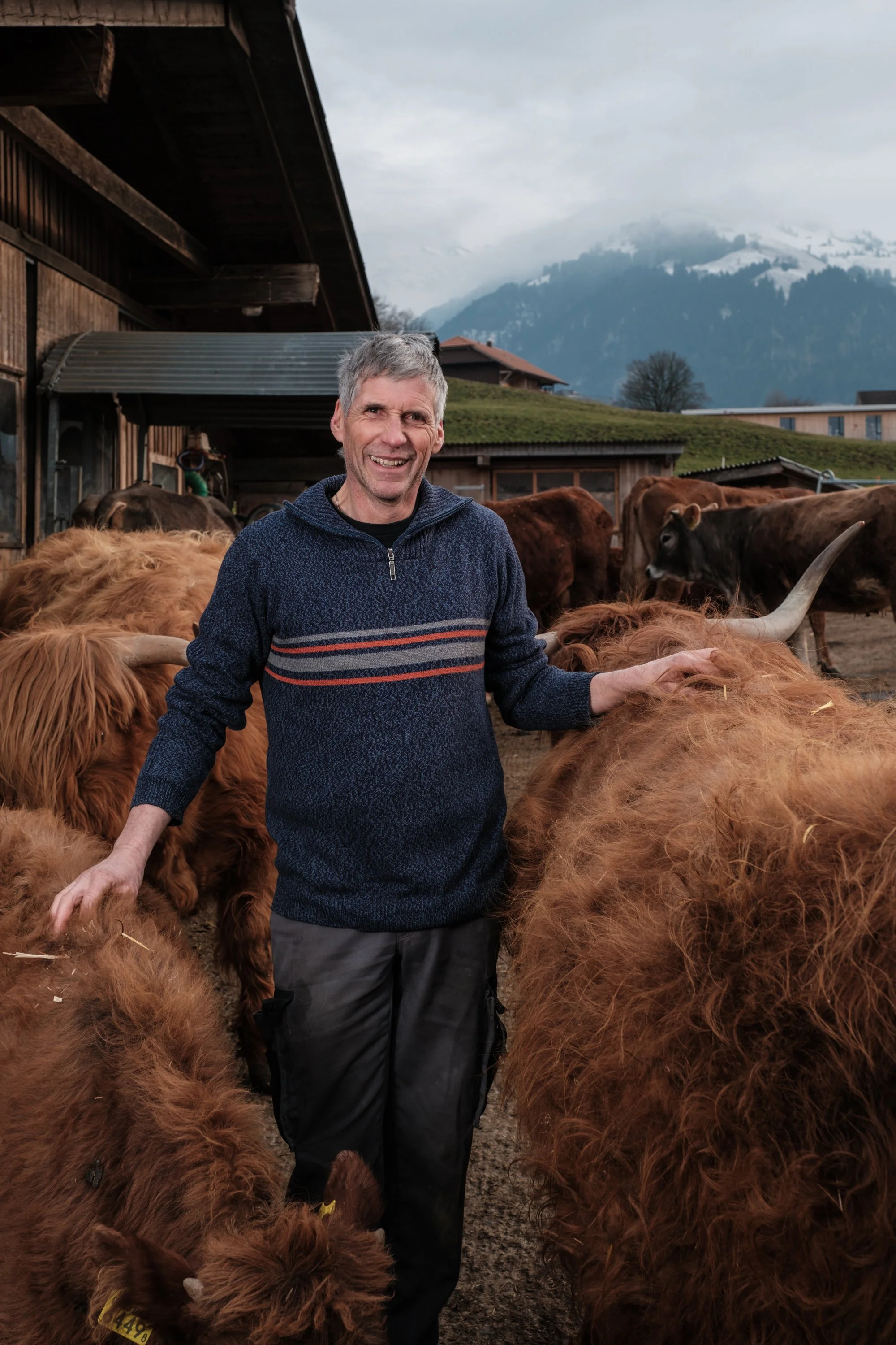 Ein Mann steht auf einem Bauernhof, umgeben von Rindern und Kühen, mit Bergen im Hintergrund.