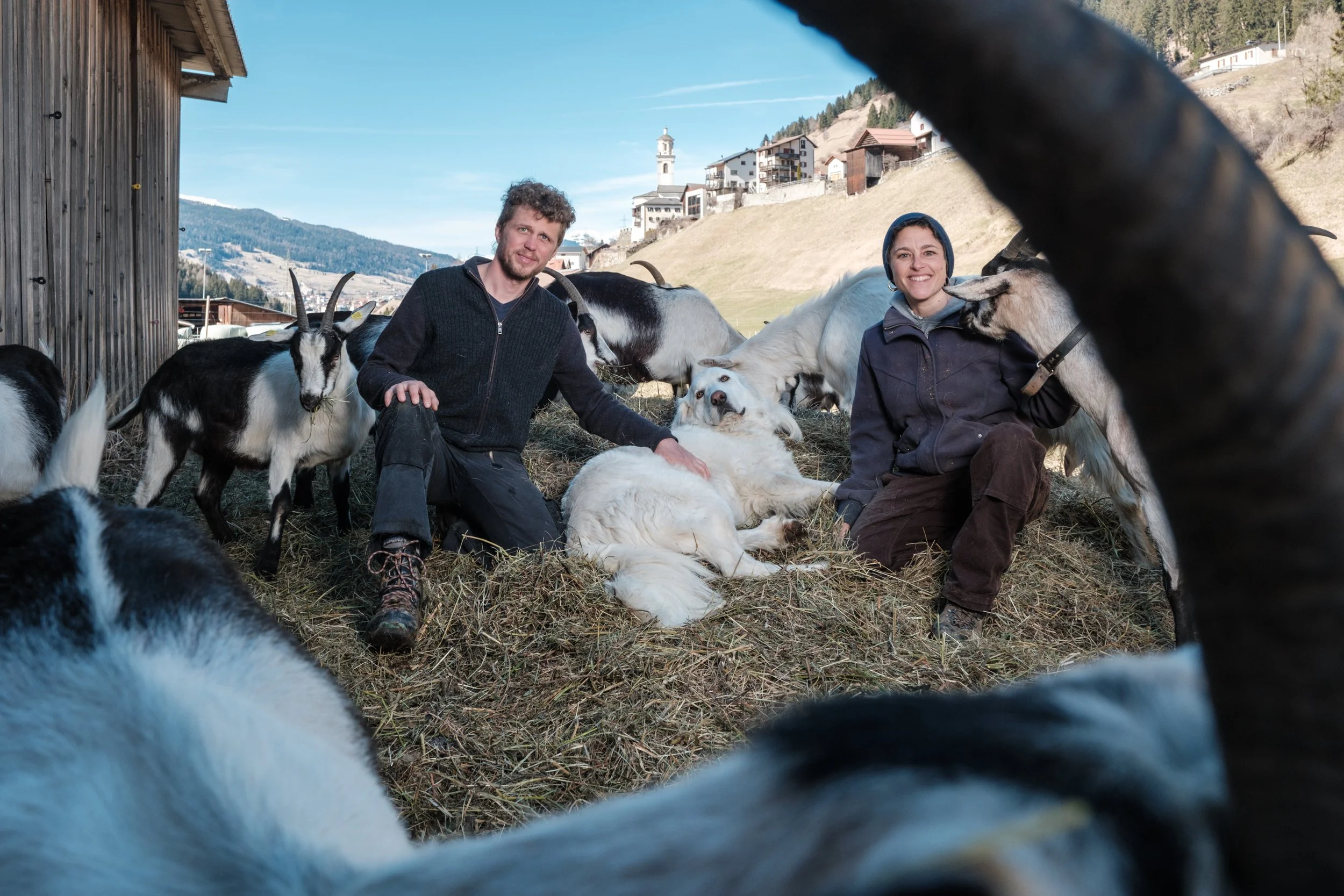 Zwei Personen mit Ziegen und Schafen auf einer Alm in den Bergen, im Hintergrund Häuser und eine Kirche.