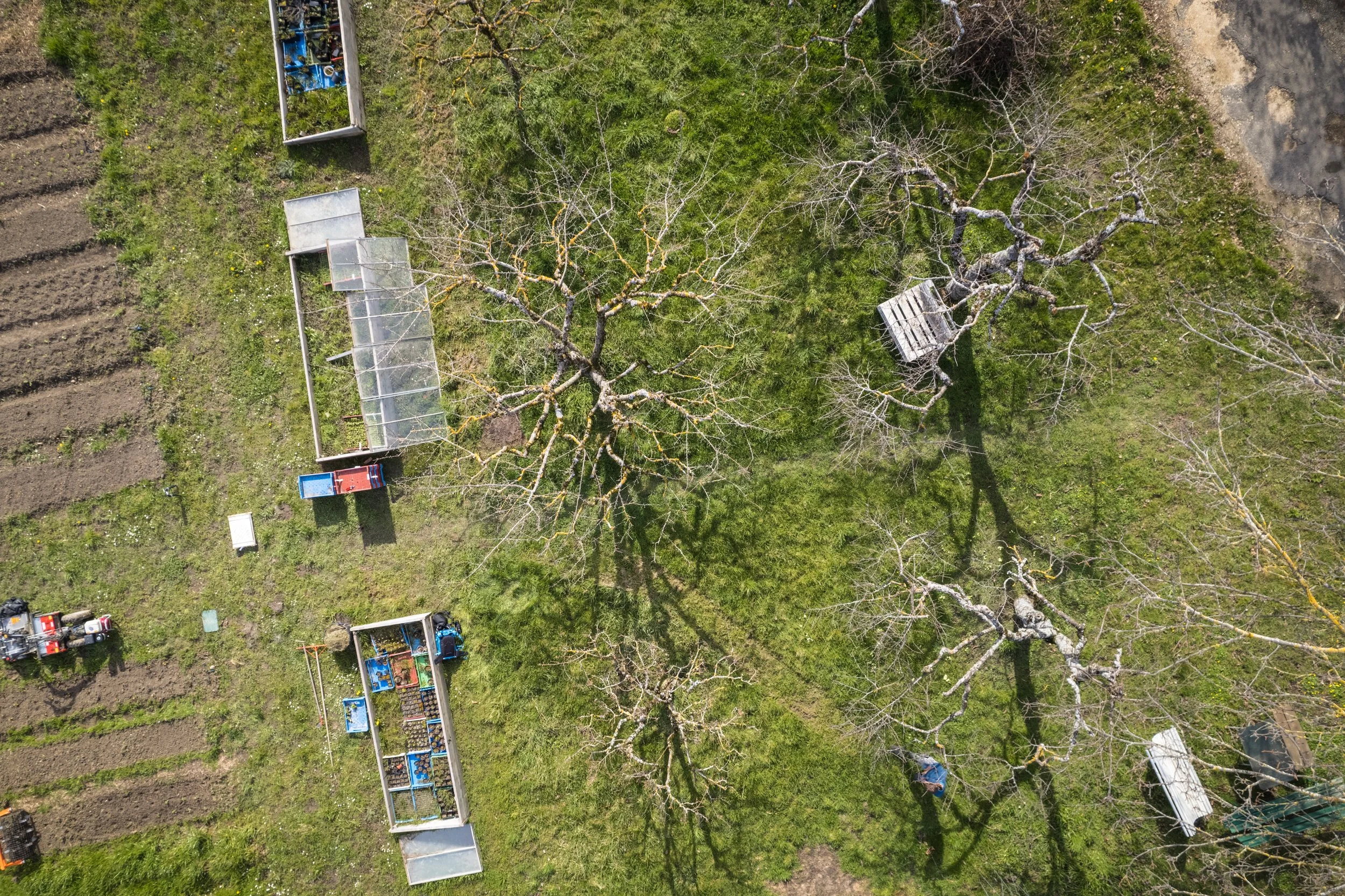 Vogelperspektive eines Gartens mit drei großen Obstbäumen, mehreren Gartenhäuschen, einem Traktor und mehreren Gartenbeeten.