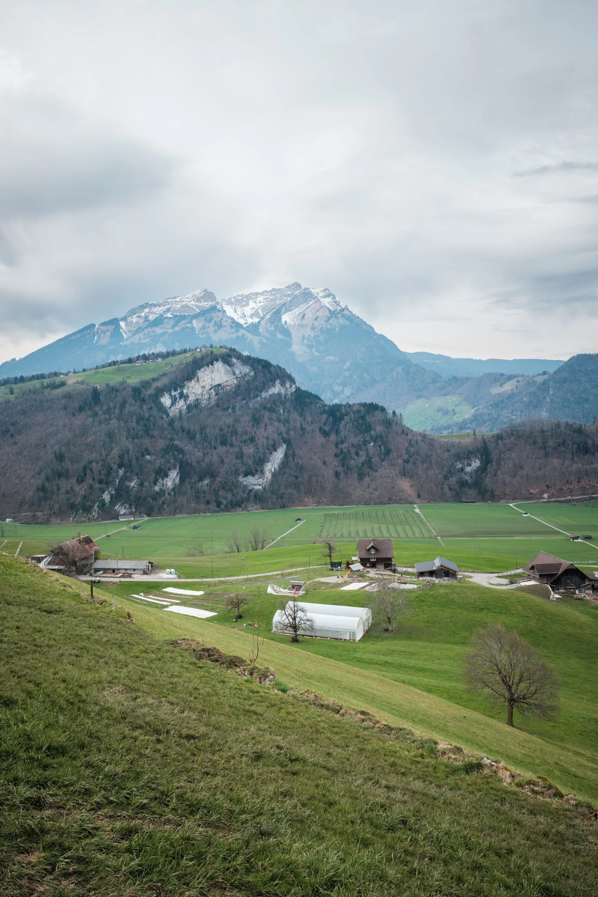 Landschaft mit grünen Wiesen, Häusern und Bergen im Hintergrund, einige haben Schneekuppen.