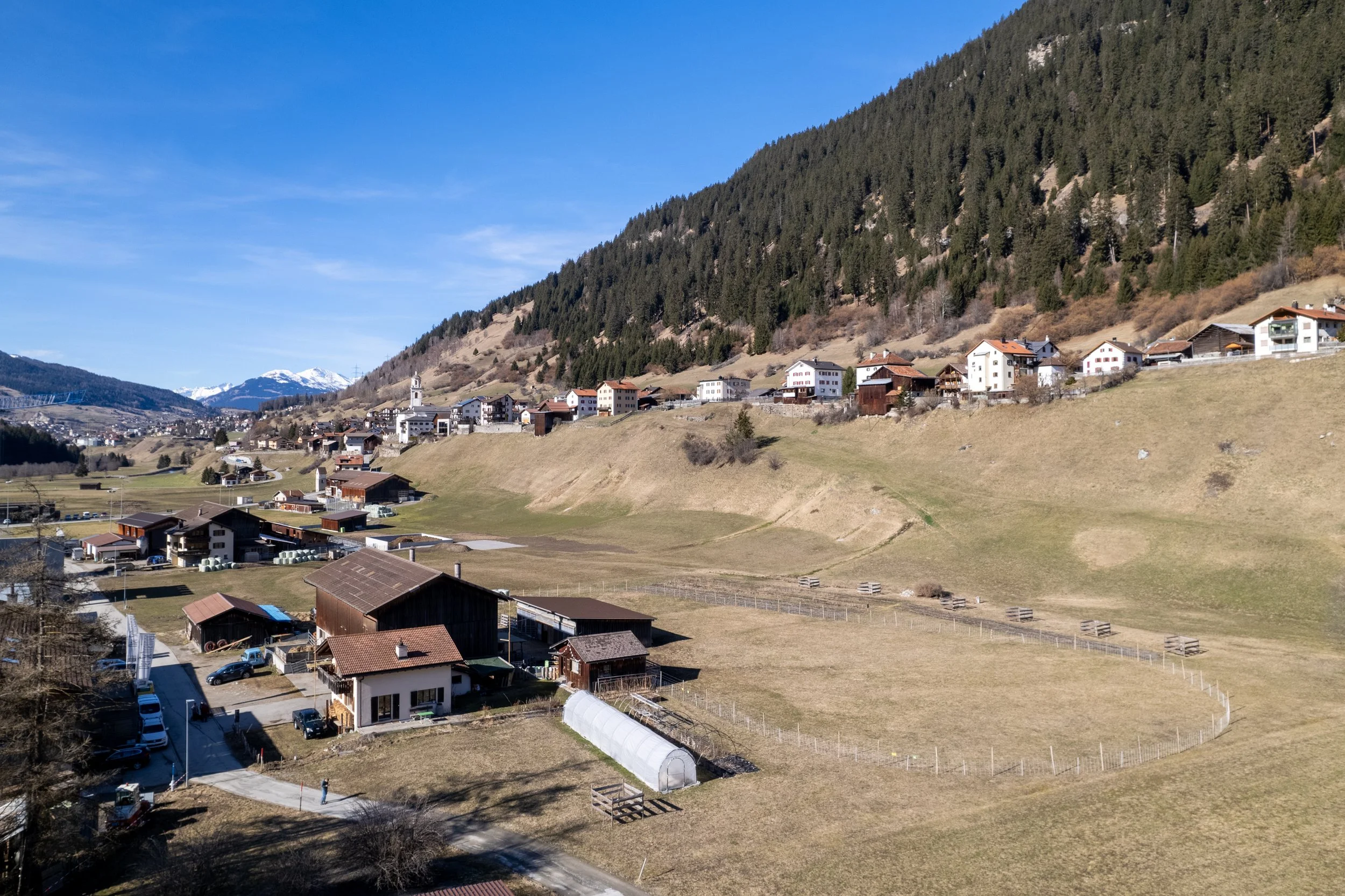 Bergdorf mit Häusern auf Hügeln, im Vordergrund Häuser, Wiesen und einen kleinen Garten mit Pflanzen; im Hintergrund bewaldete Berge und schneebedeckte Gipfel bei klarem Himmel.